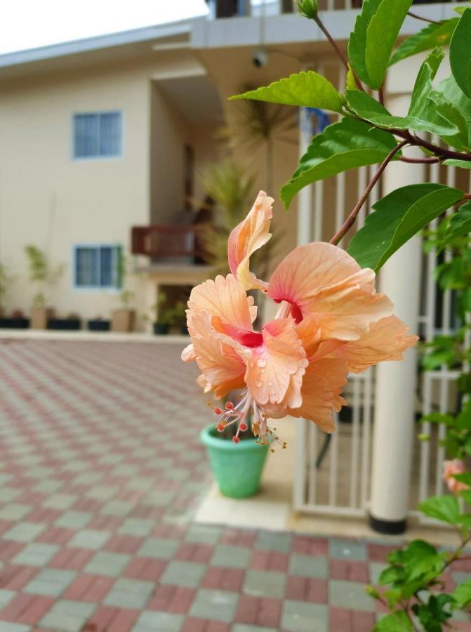 Amalia Apartments Paramaribo Exterior photo